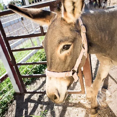 La Meridiana منزل ريفي *